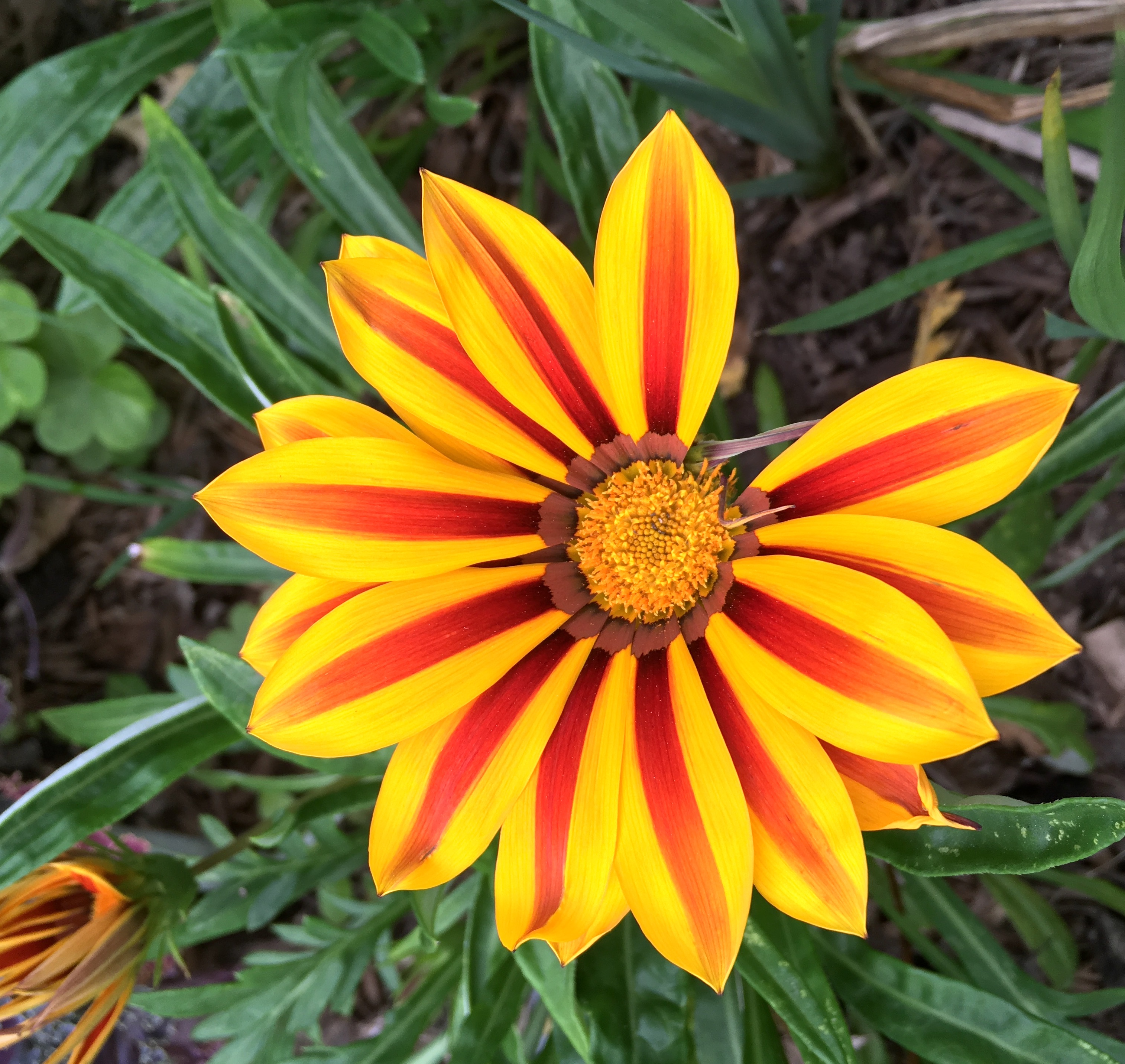 Art Inspiration In Houston Texas