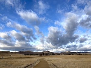 new website like new landscapes