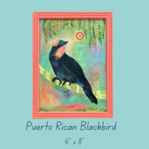 Puerto Rican Blackbird
